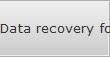 Data recovery for Bethel Park data